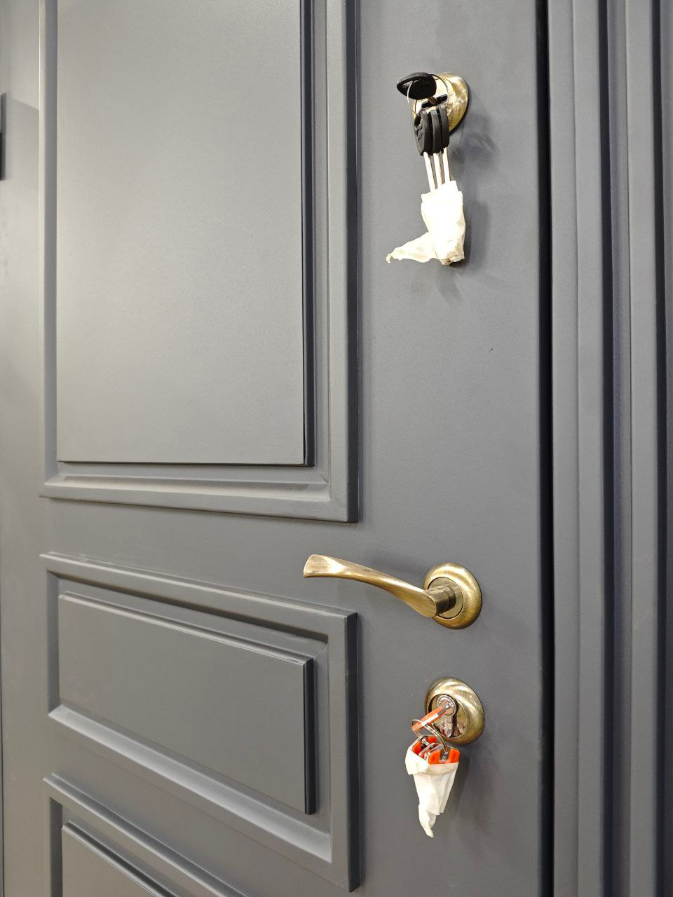 Дверь модуль — фото 5